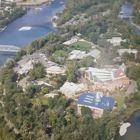 The Evolution of the Calgary Zoo (2007) 1st Edition by Tyler Trafford - Picture 8 of 9